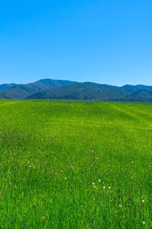 Eagle Rock Reserve - Land