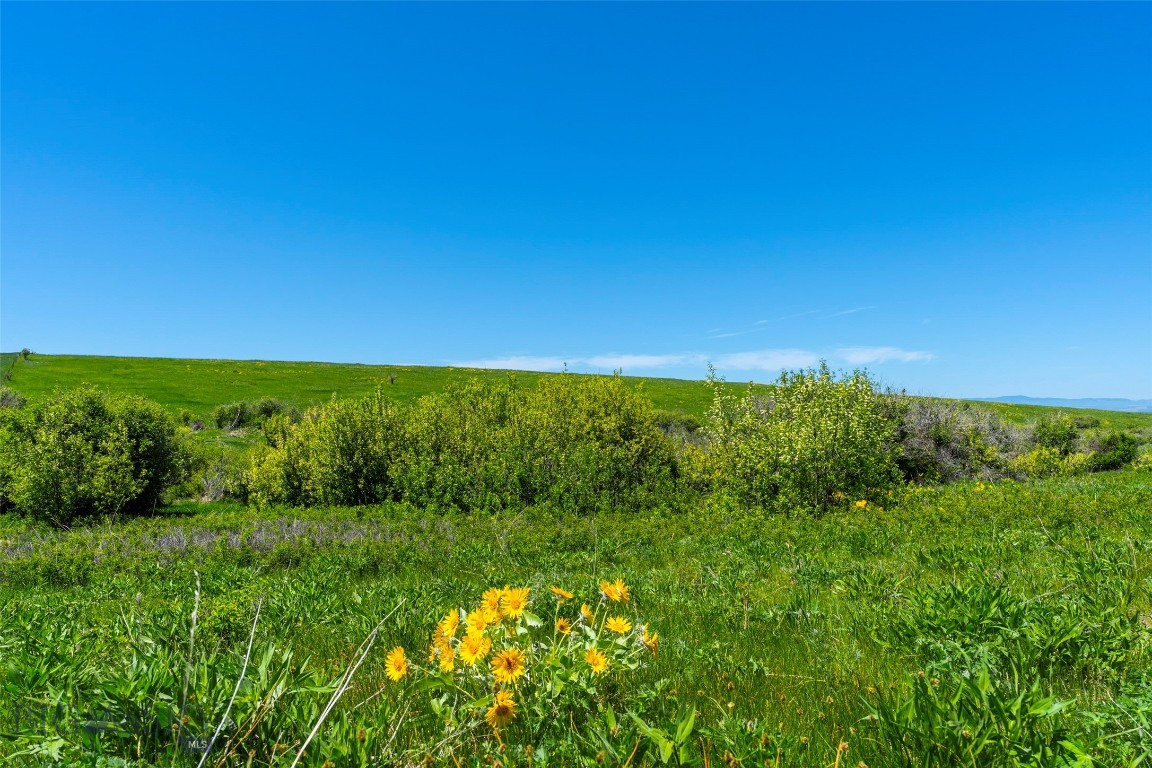 Eagle Rock Reserve - Land