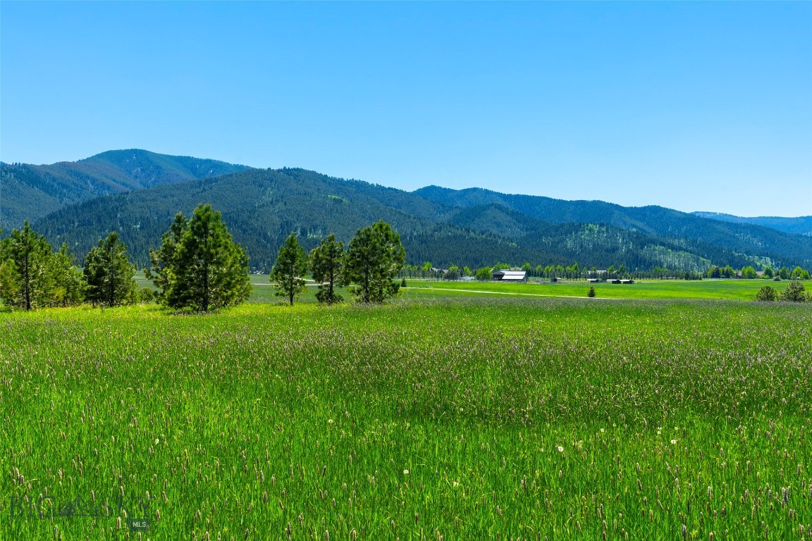 Eagle Rock Reserve - Land