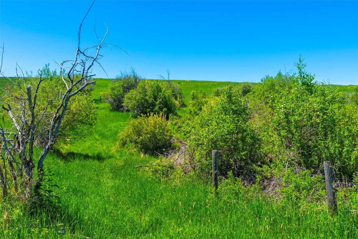 Eagle Rock Reserve - Land