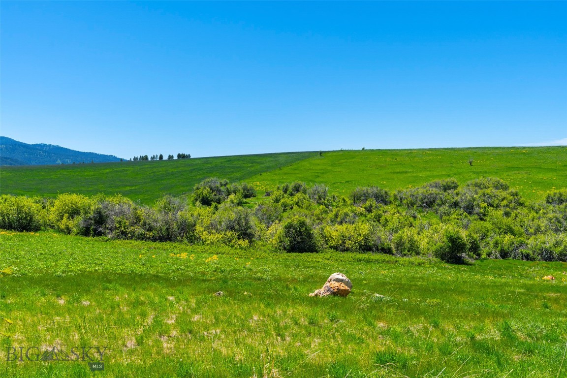 Eagle Rock Reserve - Land