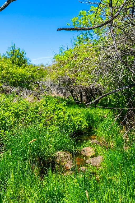 Eagle Rock Reserve - Land