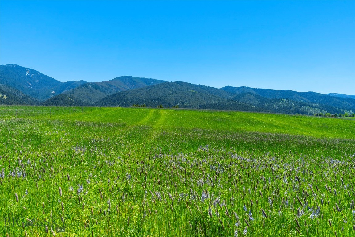 Eagle Rock Reserve - Land