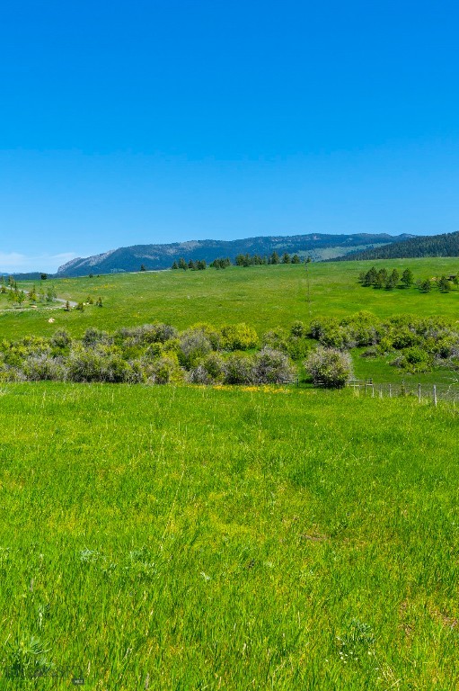 Eagle Rock Reserve - Land