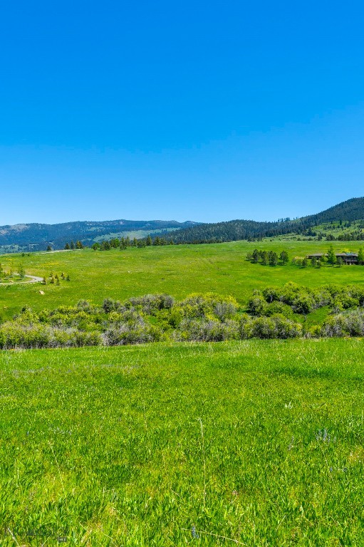 Eagle Rock Reserve - Land