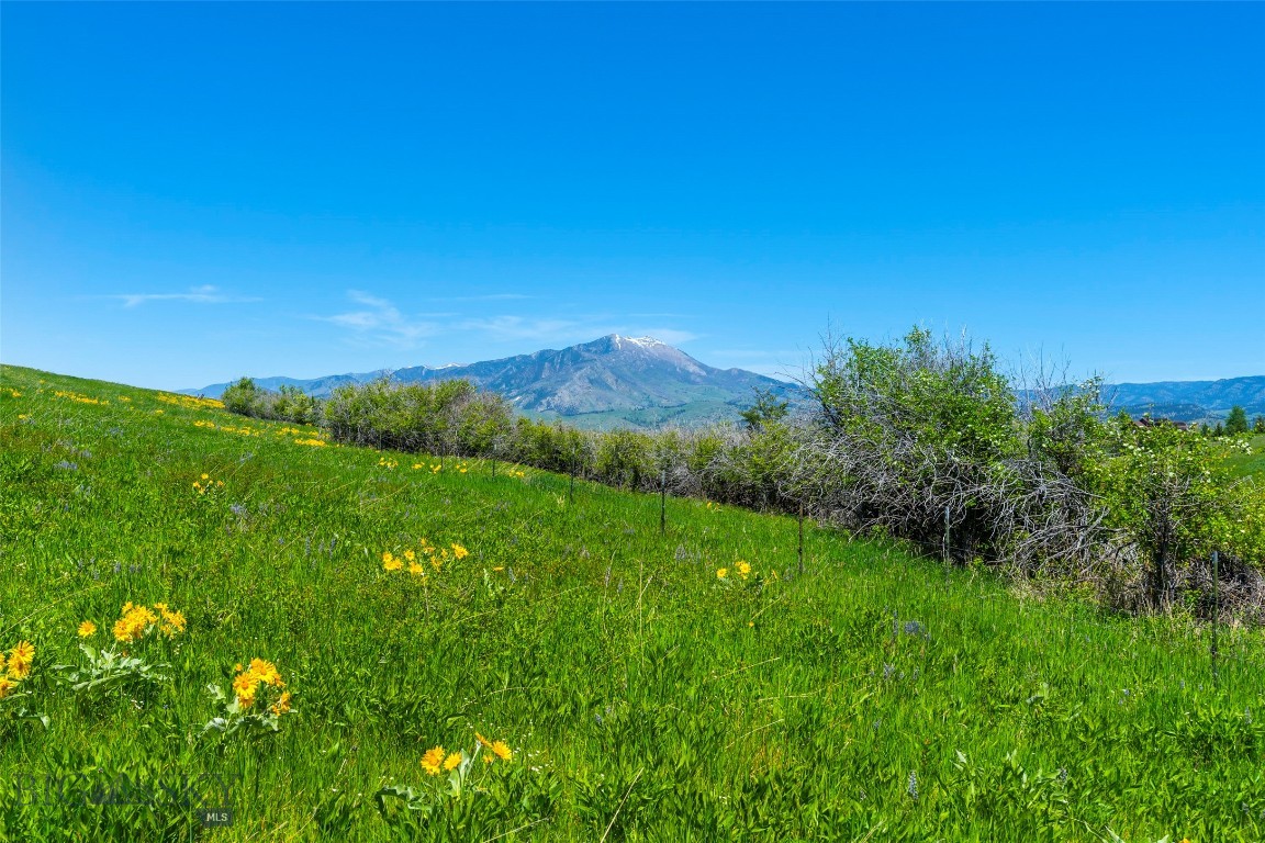 Eagle Rock Reserve - Land