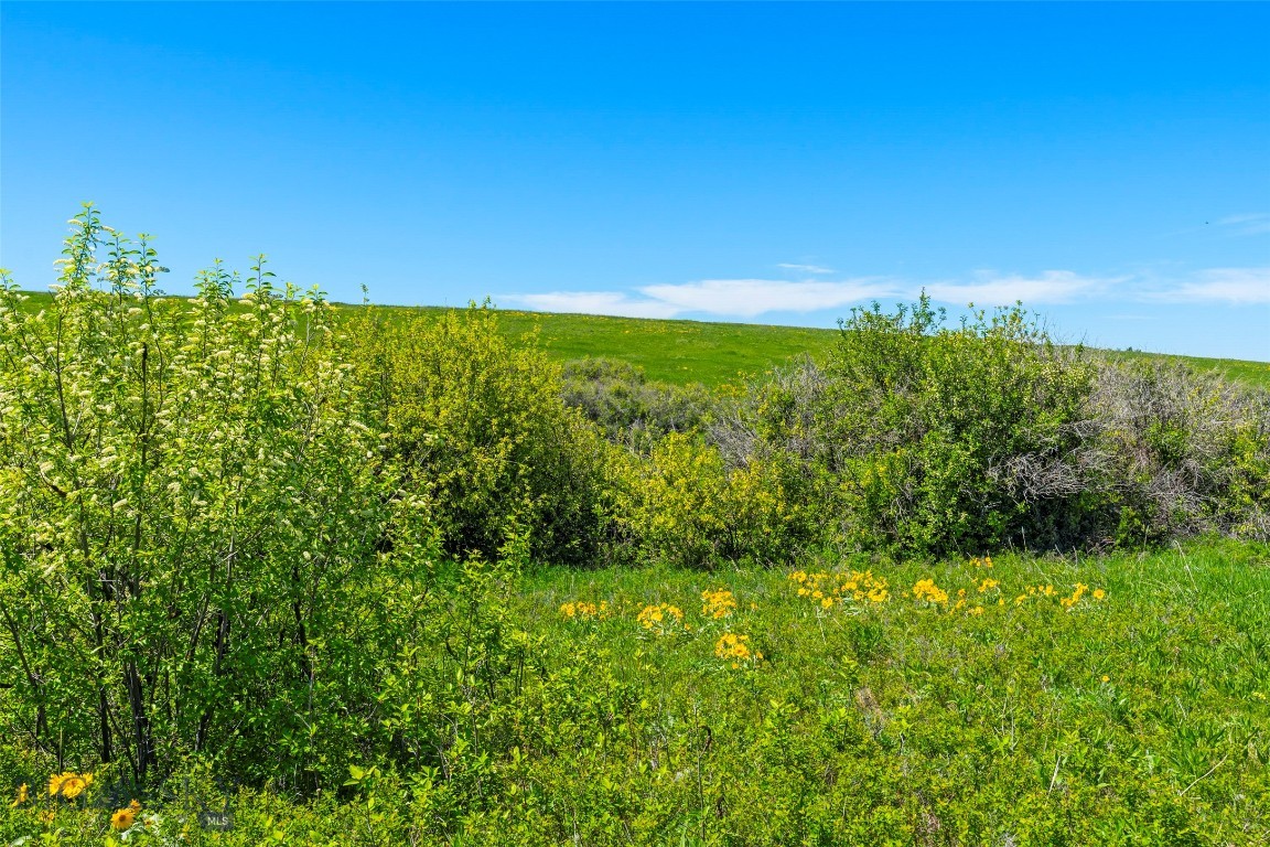 Eagle Rock Reserve - Land