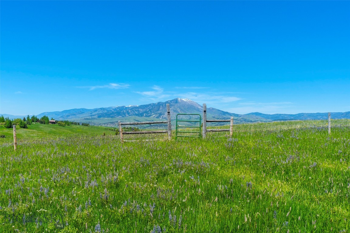 Eagle Rock Reserve - Land