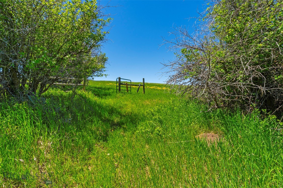 Eagle Rock Reserve - Land