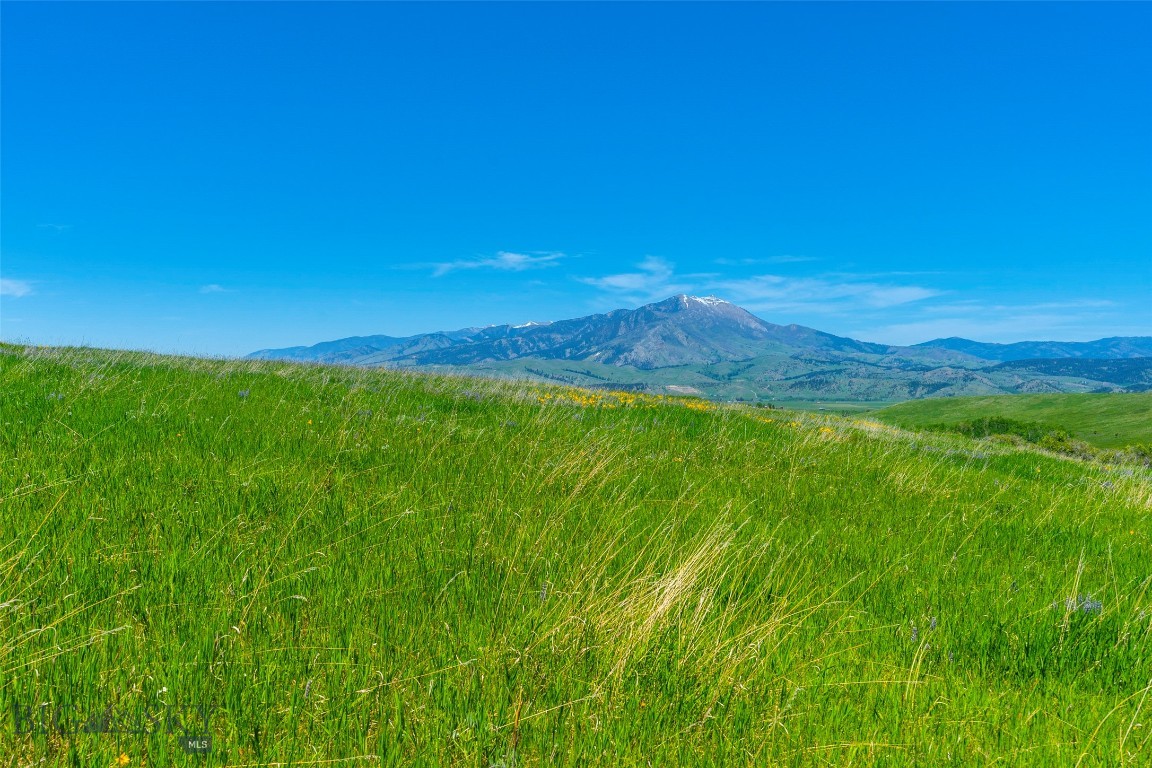 Eagle Rock Reserve - Land