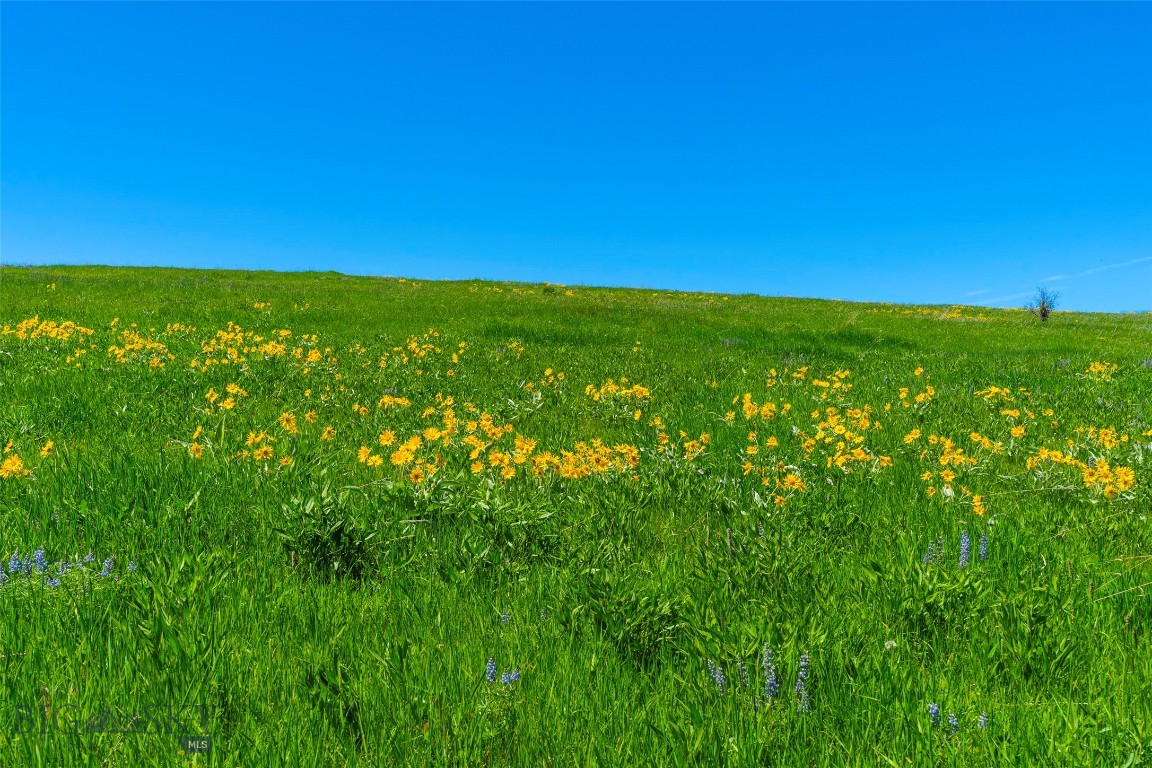 Eagle Rock Reserve - Land