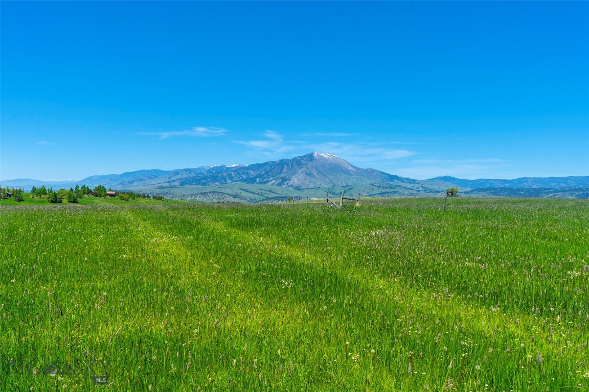 Eagle Rock Reserve - Land