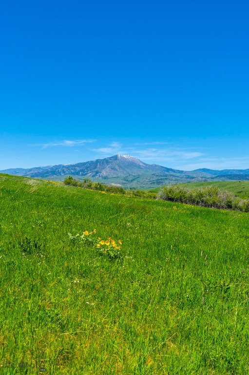 Eagle Rock Reserve - Land