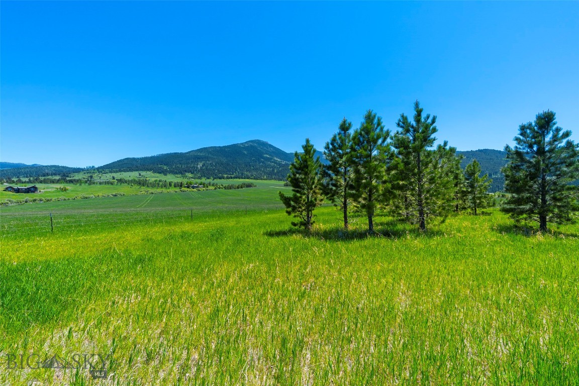 Eagle Rock Reserve - Land
