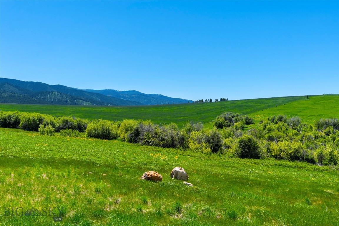 Eagle Rock Reserve - Land