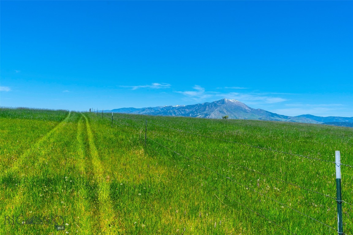 Eagle Rock Reserve - Land