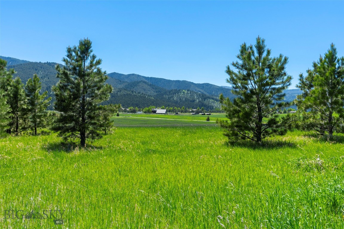 Eagle Rock Reserve - Land