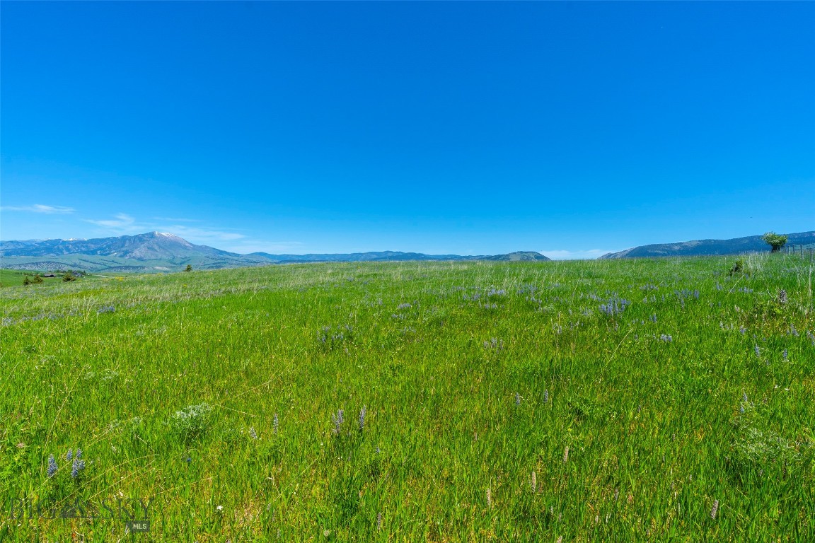Eagle Rock Reserve - Land