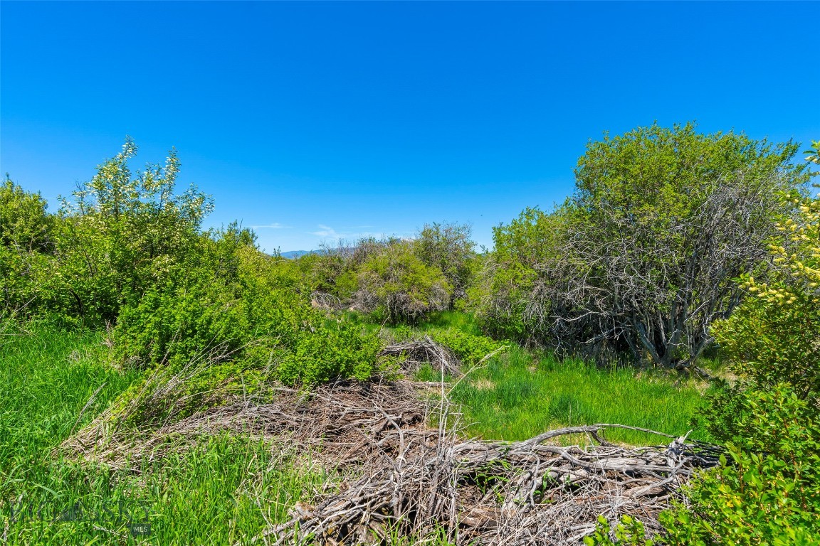 Eagle Rock Reserve - Land