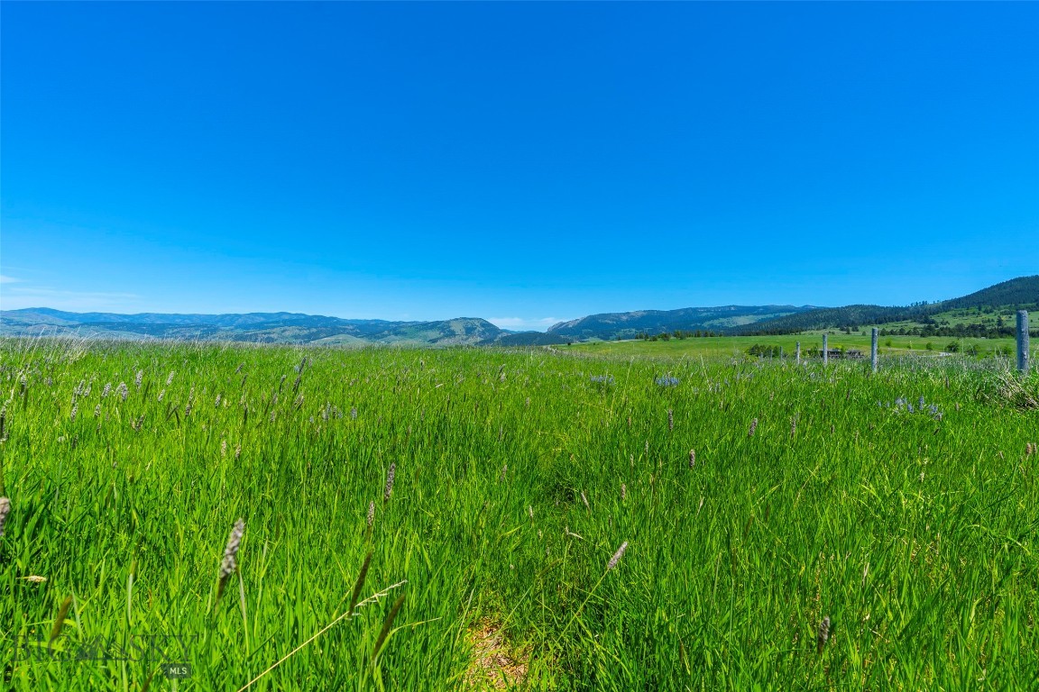 Eagle Rock Reserve - Land