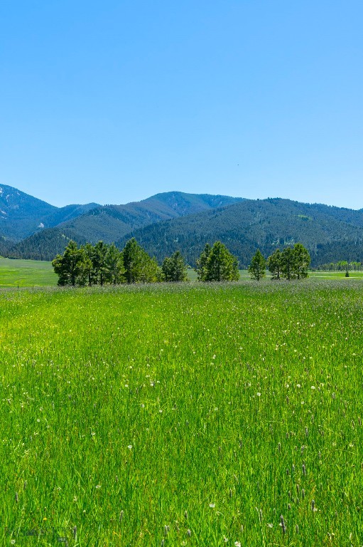 Eagle Rock Reserve - Land