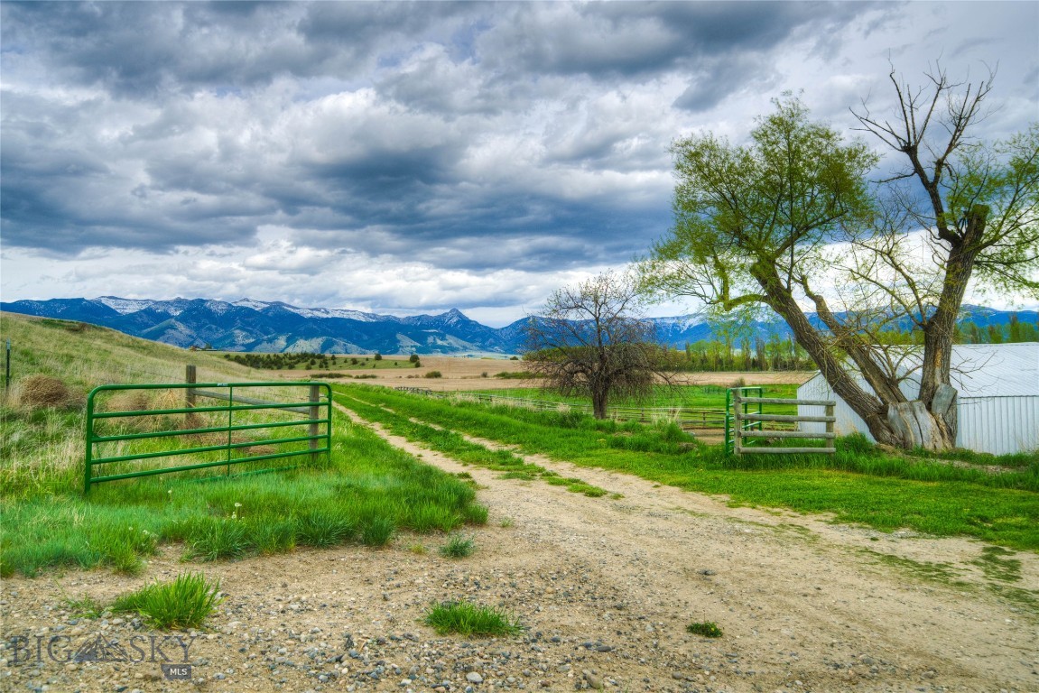 477 Reese Creek