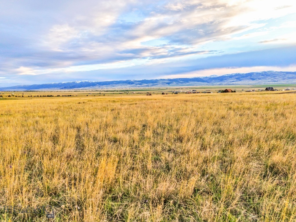 Mustang Ranches - Land
