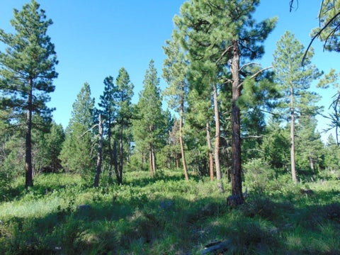 Photo of 4615 Abe Lincoln RD, Lincoln, MT 59639 (MLS # 413184)