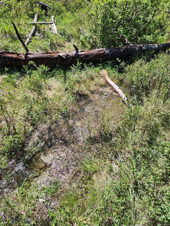 Minor Subdivision - Land