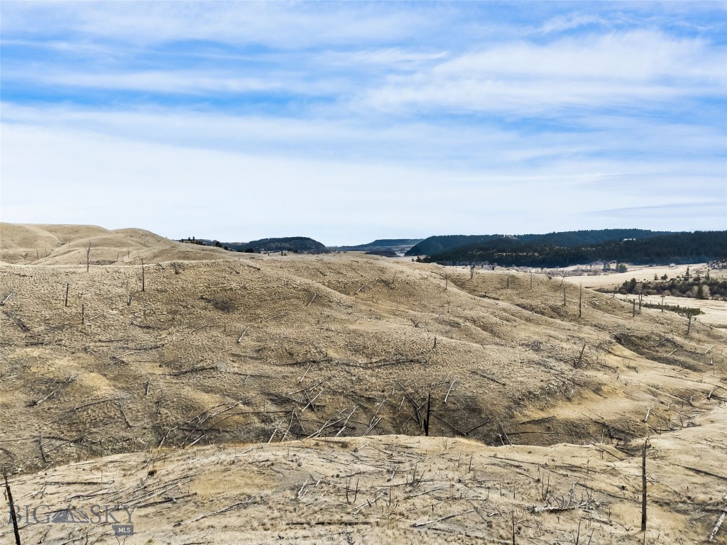 Minor Subdivision - Land