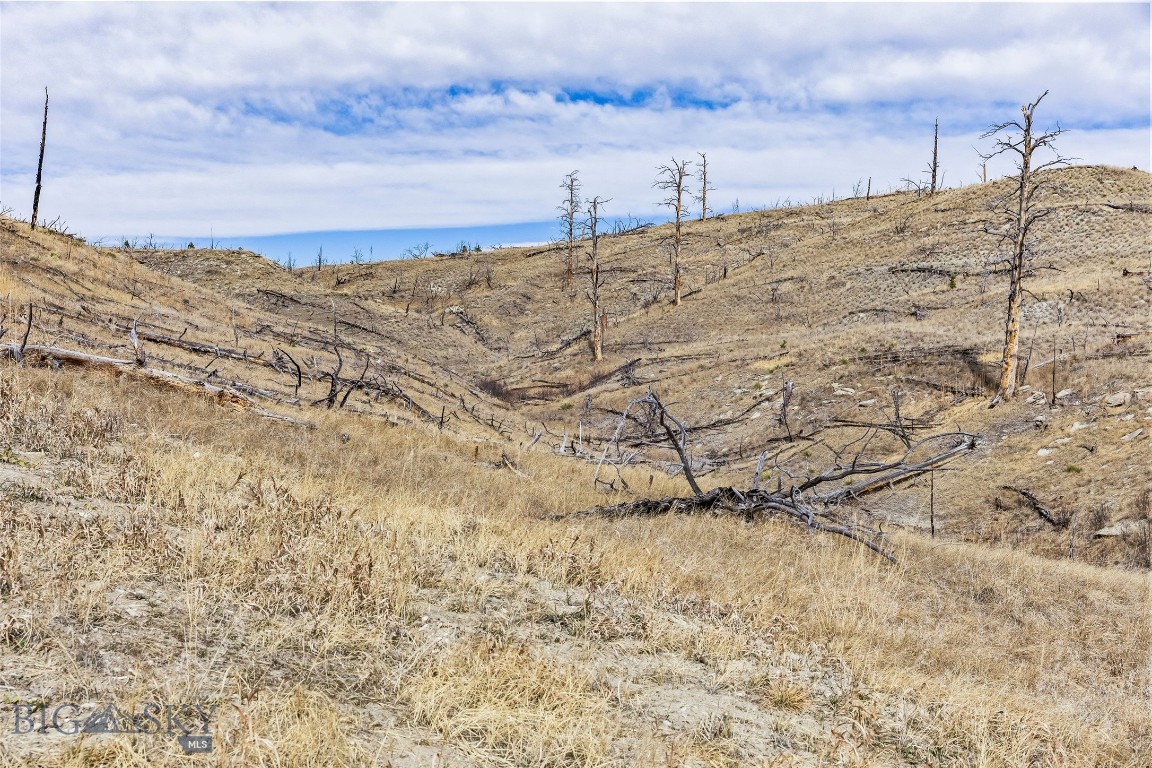 Minor Subdivision - Land