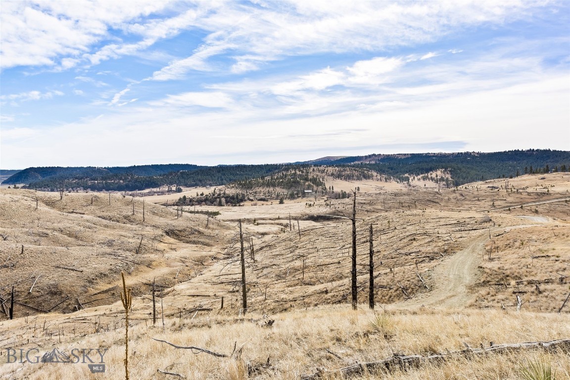 Minor Subdivision - Land