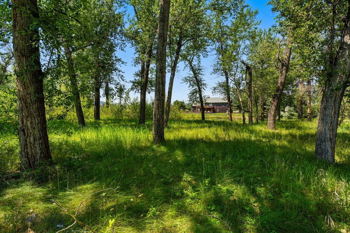 Minor Subdivision - Residential