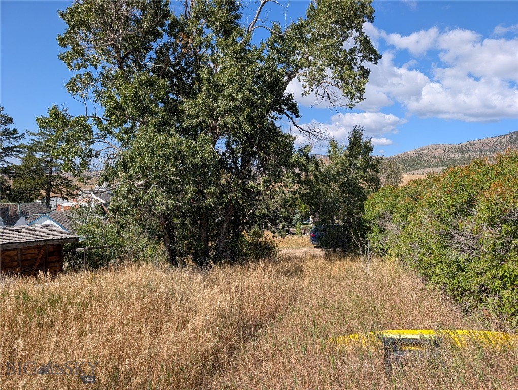 Virginia City Original Plat - Land