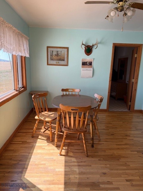 37 Ramspeck Lane