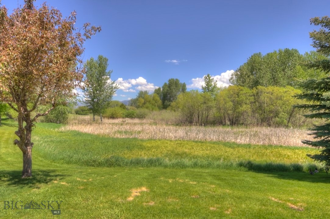 South Meadow Condos - Residential