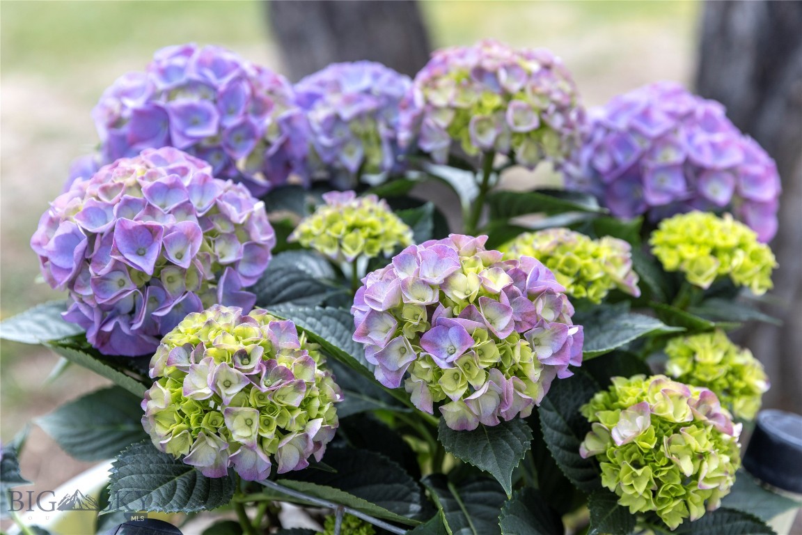 Jefferson Acres - Residential