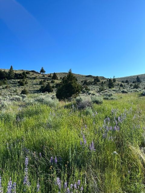 Tract 1C-2, 162.2ac Meagher Trail Virginia City MT 59729