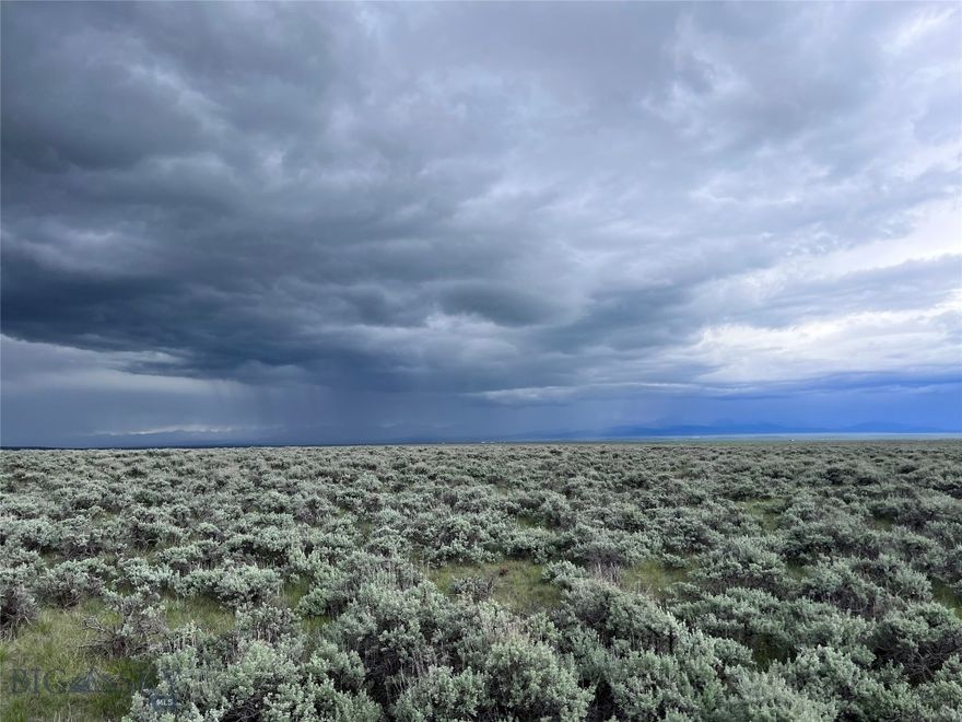 Located in the heart of Big Hole Country near the small quaint town of Wisdom, MT are a cluster of 20+ acre parcels that will make you an excellent location for your new home. Some parcels are bordered by a ranch under a conservation easement helping to protect magnificent mountain views, seclusion and privacy. Call listing agent for a full list of available lots!! Sub-division accessed by the county maintained Steel Creek Road, you are only minutes from National Forest lands adding tens of thousands of acres awaiting your exploration. The historic Big Hole Battlefield, Elkhorn Hot Springs, Jackson Hot Springs, Crystal Park, Chief Joseph Cross Country Ski Trails & Maverick Ski hill, Bannack State Park, Kayaking & Canoeing, River Rafting, and of course.....Montana Blue Ribbon Trout fishing could all be a part of your new playground. The properties have level ground, draws and gently sloping foothills creating interesting topography and power is available in the area and along some lot boundaries. In Montana you don't just buy a property - you purchase a new lifestyle. Don't miss this opportunity to begin your new life today.