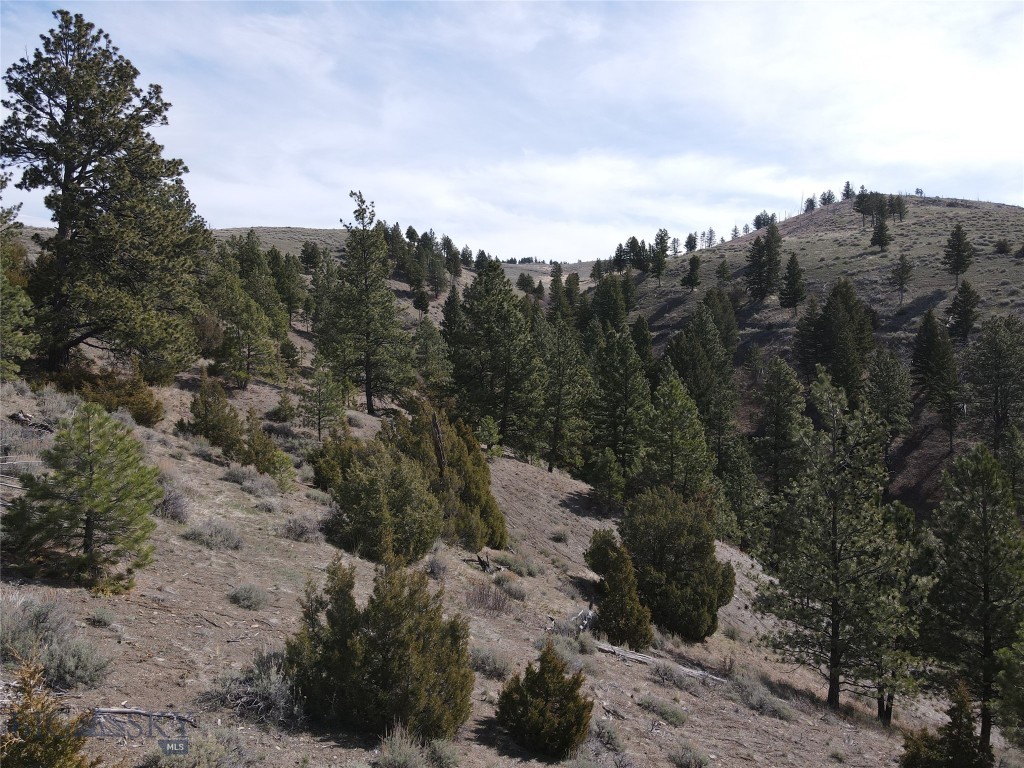 Certificate Of Survey COS - Land