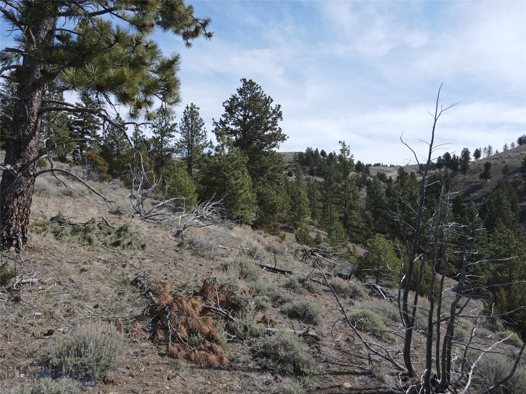 Certificate Of Survey COS - Land