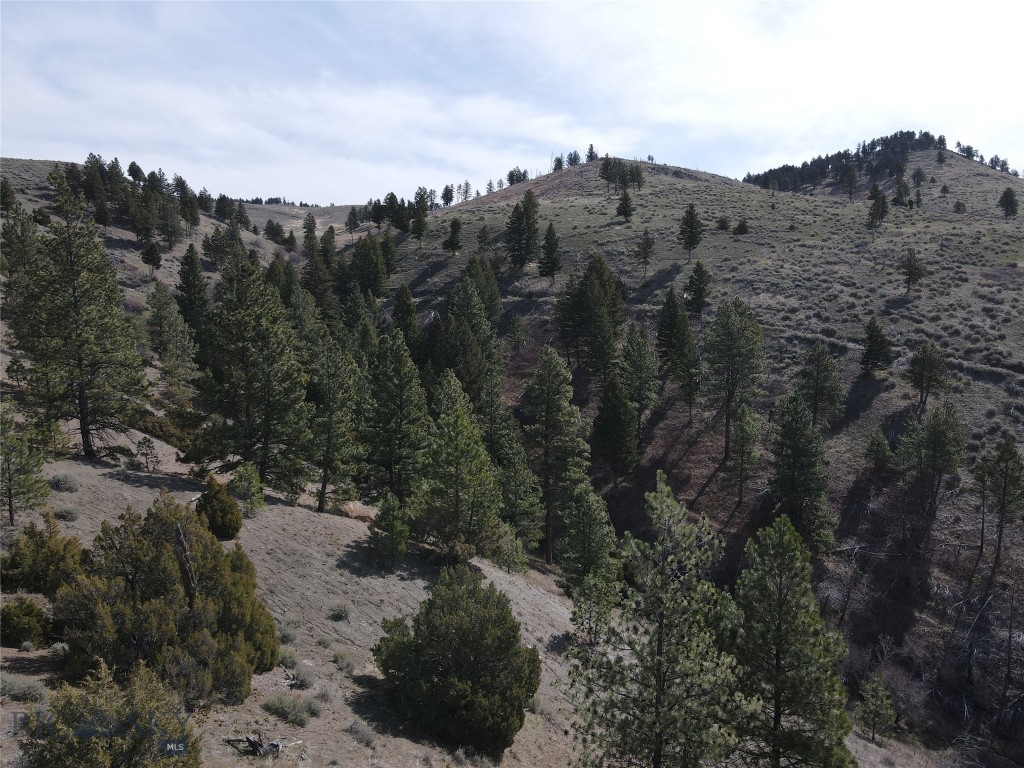 Certificate Of Survey COS - Land