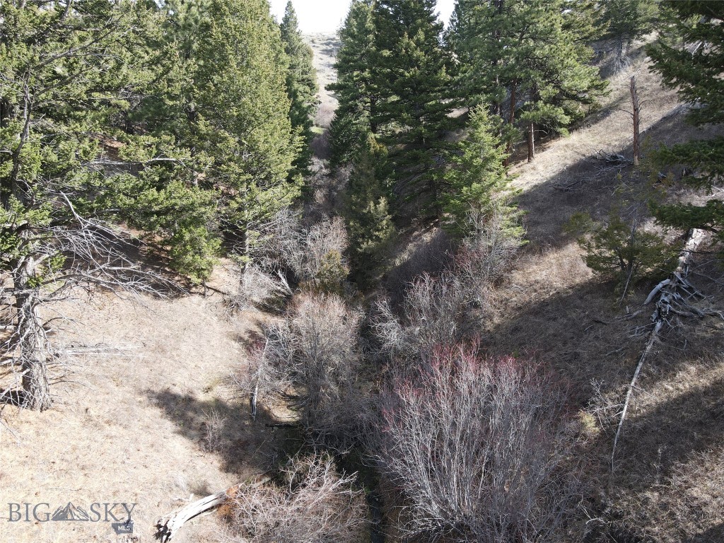 Certificate Of Survey COS - Land