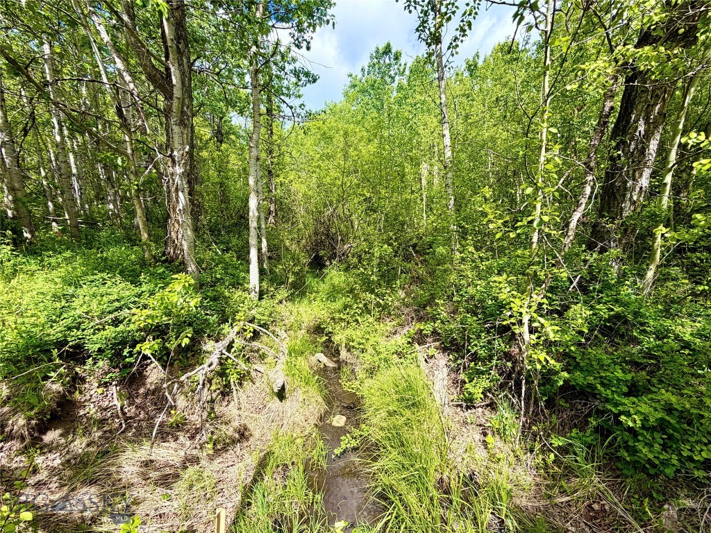 Lot 8 Arlie Tract
