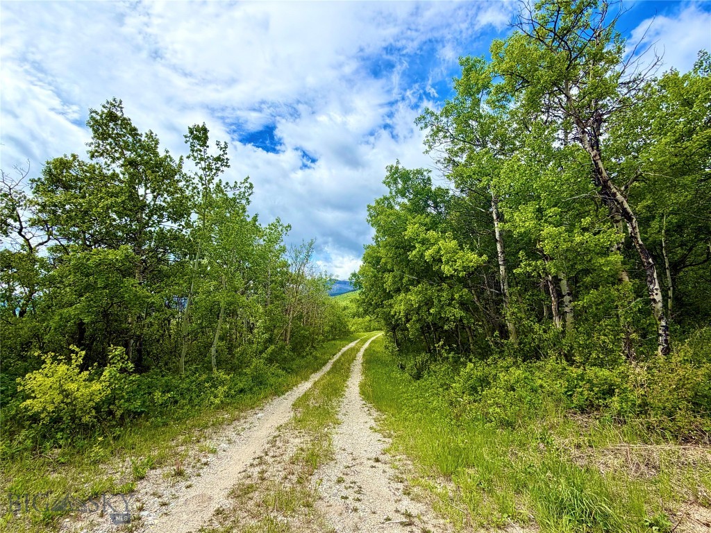 Lot 8 Arlie Tract
