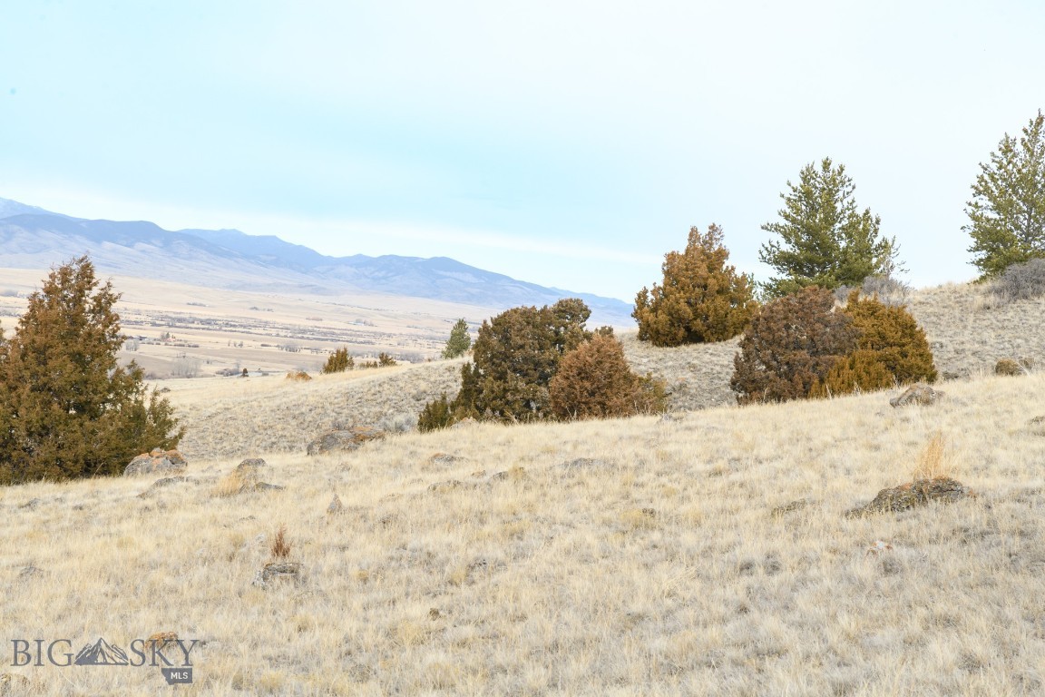 Certificate Of Survey COS - Land