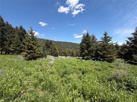 Photo of NHN Castle Town Road, White Sulphur Springs, MT 59645 (MLS # 412190)