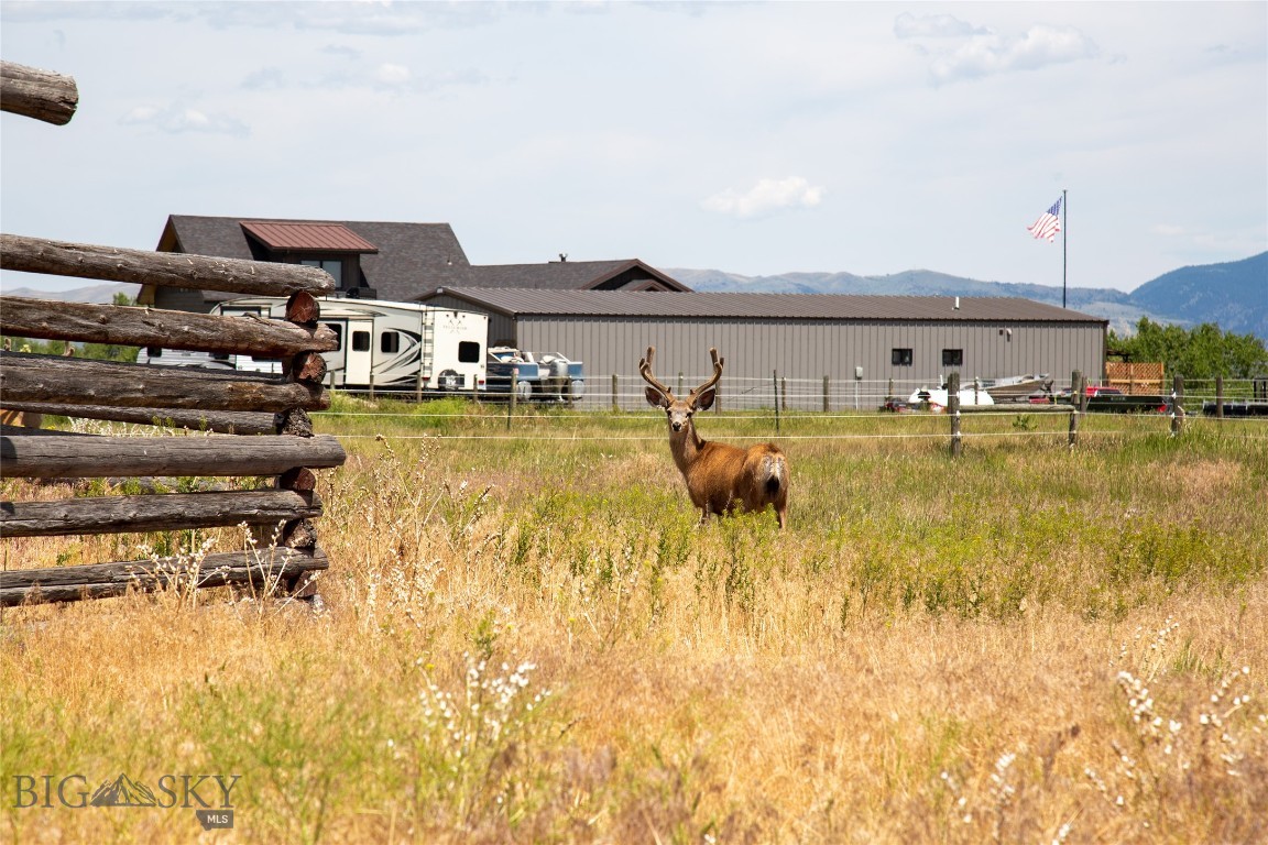 Antelope Meadows - Residential