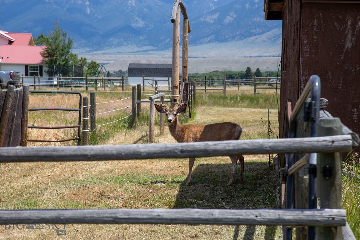 Antelope Meadows - Residential