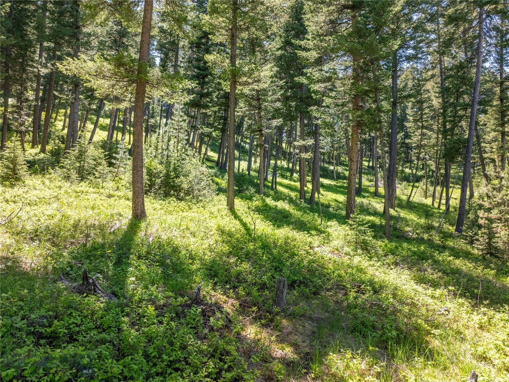Eagle Rock Reserve - Residential